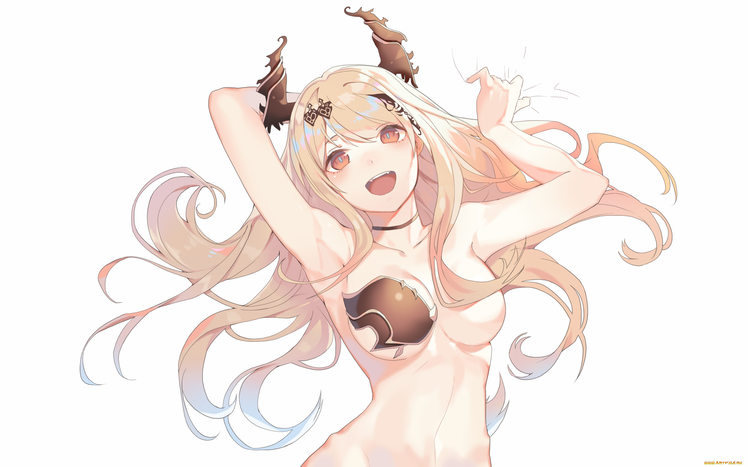 , shingeki no bahamut, shingeki, no, bahamut